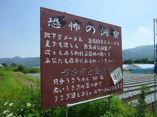 P1050937.jpg