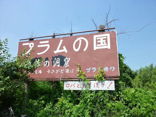 P1050939.jpg