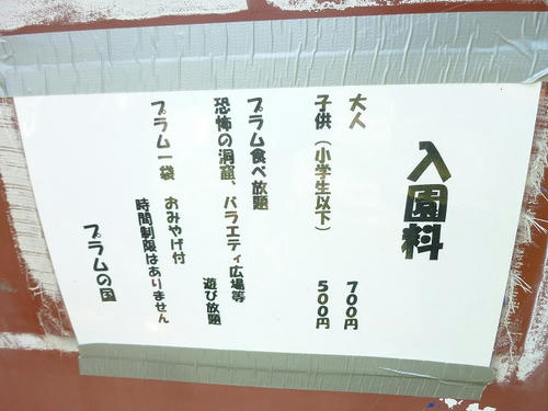 P1050943.jpg