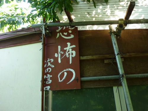P1050969.jpg