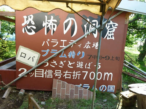P1060113.jpg