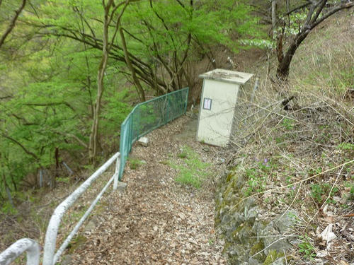 P1030767.jpg