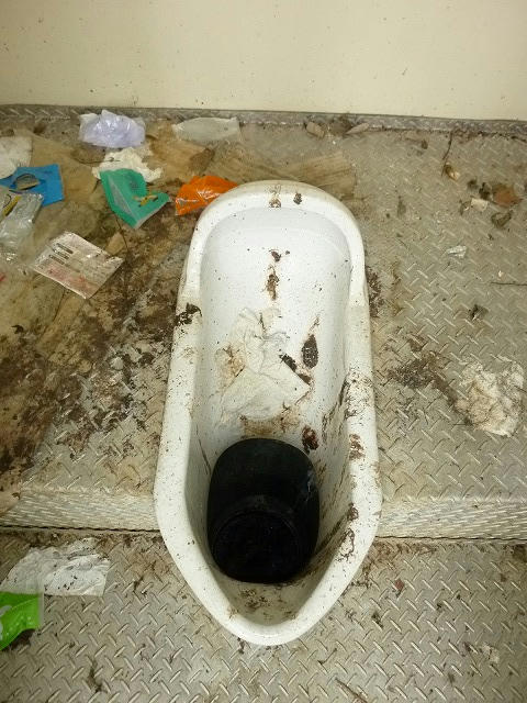 P1030762.jpg