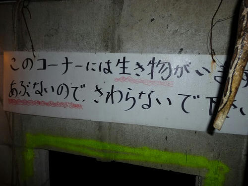 P1060008.jpg