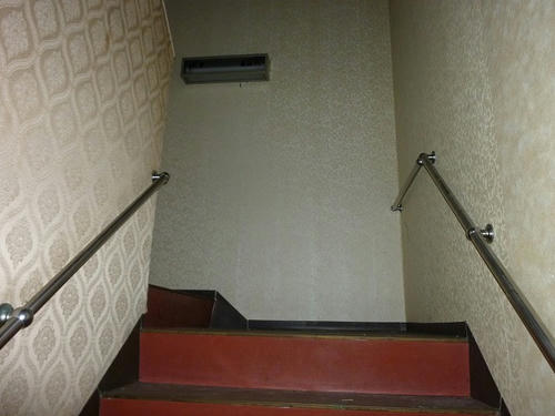 P1000330.jpg
