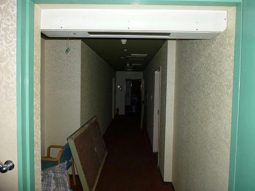 P1000332.jpg