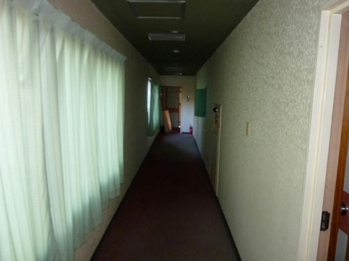 P1000371.jpg
