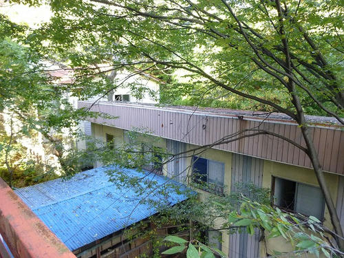 P1000366.jpg