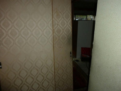 P1000228.jpg