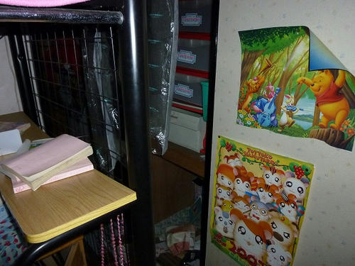 P1000236.jpg