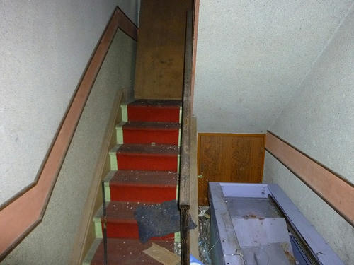 P1000170.jpg