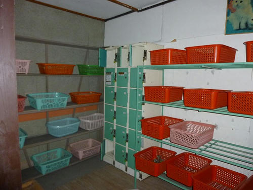 P1000166.jpg