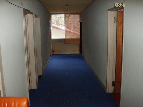 P1011570.jpg