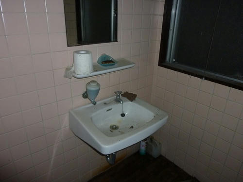 P1000105.jpg