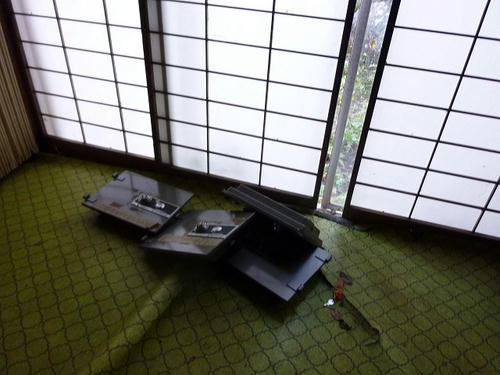 P1000092.jpg