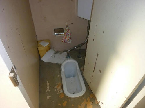 c0782b04.jpeg