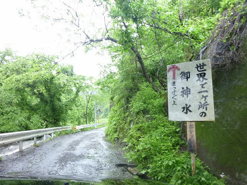 P1100558.jpg