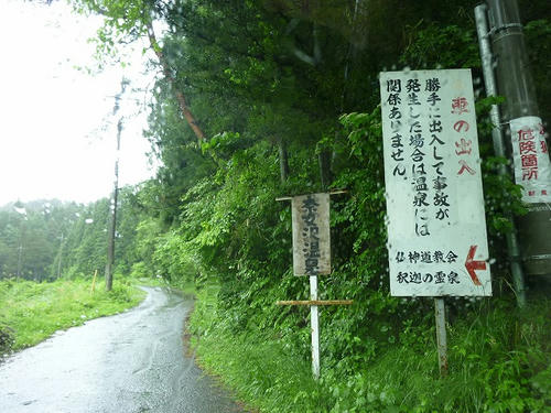P1100559.jpg