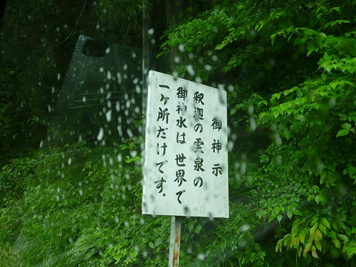 P1100560.jpg