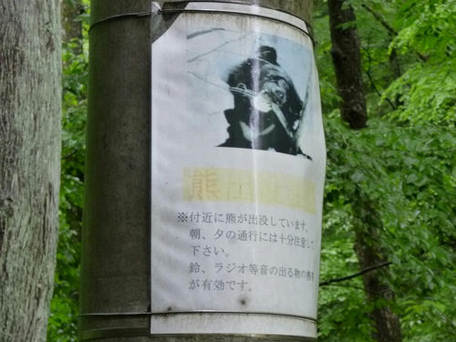 P1100572.jpg