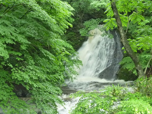 P1100562.jpg