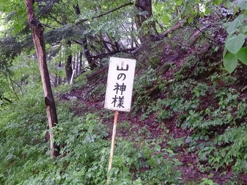 P1100583.jpg