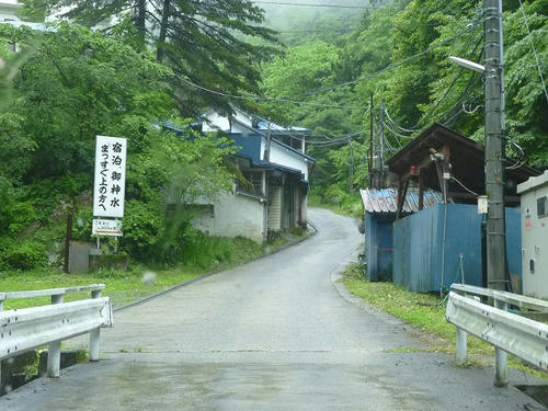 P1100573.jpg