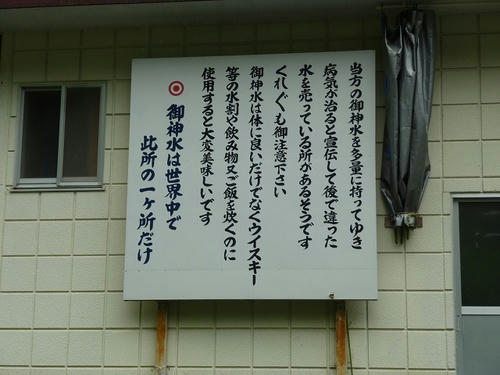P1100578.jpg