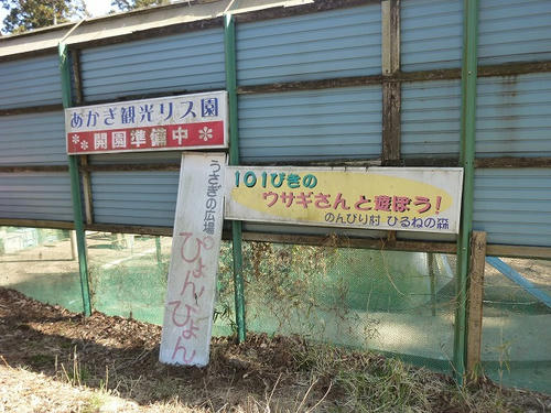 P1030415.jpg