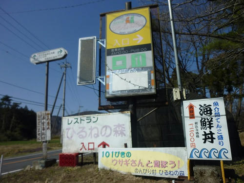 P1030418.jpg