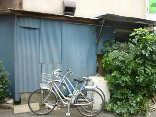 P1150766.jpg