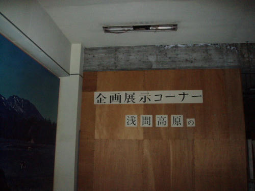 72420041.jpeg