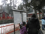 P1150076.JPG