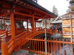 P1150080.JPG
