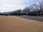 P2050169.JPG
