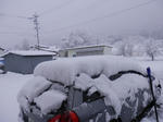P3100031.JPG