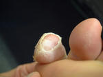 DSCF0034.JPG