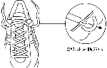 shoelace_3.gif