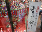 P9300384.JPG