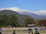 PA210594.JPG