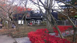 IMAG0046.jpg