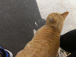 IMAG0114.jpg