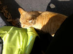 IMAG0115.jpg