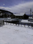 IMAG0424.jpg