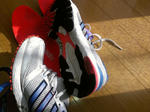 IMAG0443.jpg