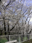 IMAG0496.jpg