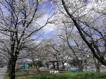 IMAG0502.jpg