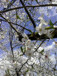 IMAG0503.jpg