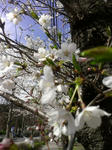 IMAG0506.jpg