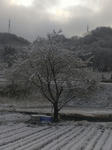 IMAG0510.jpg